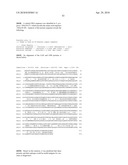 Nucleic acids and proteins from streptococcus groups a & b diagram and image