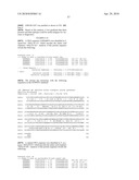 Nucleic acids and proteins from streptococcus groups a & b diagram and image