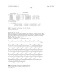 Nucleic acids and proteins from streptococcus groups a & b diagram and image