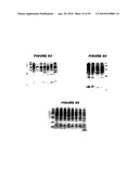 Nucleic acids and proteins from streptococcus groups a & b diagram and image