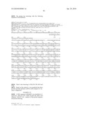 Nucleic acids and proteins from streptococcus groups a & b diagram and image