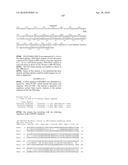 Nucleic acids and proteins from streptococcus groups a & b diagram and image