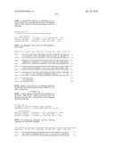 Nucleic acids and proteins from streptococcus groups a & b diagram and image