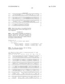 Nucleic acids and proteins from streptococcus groups a & b diagram and image