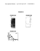 Nucleic acids and proteins from streptococcus groups a & b diagram and image