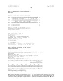 Nucleic acids and proteins from streptococcus groups a & b diagram and image