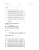 Nucleic acids and proteins from streptococcus groups a & b diagram and image