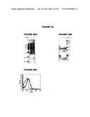 Nucleic acids and proteins from streptococcus groups a & b diagram and image