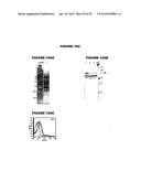 Nucleic acids and proteins from streptococcus groups a & b diagram and image