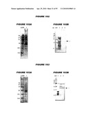 Nucleic acids and proteins from streptococcus groups a & b diagram and image