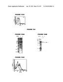 Nucleic acids and proteins from streptococcus groups a & b diagram and image