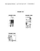 Nucleic acids and proteins from streptococcus groups a & b diagram and image