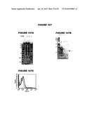 Nucleic acids and proteins from streptococcus groups a & b diagram and image