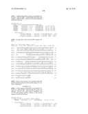 Nucleic acids and proteins from streptococcus groups a & b diagram and image