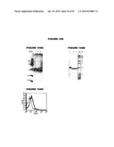 Nucleic acids and proteins from streptococcus groups a & b diagram and image