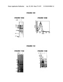 Nucleic acids and proteins from streptococcus groups a & b diagram and image