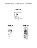 Nucleic acids and proteins from streptococcus groups a & b diagram and image