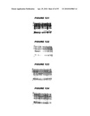 Nucleic acids and proteins from streptococcus groups a & b diagram and image