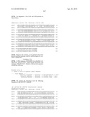 Nucleic acids and proteins from streptococcus groups a & b diagram and image