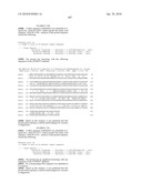 Nucleic acids and proteins from streptococcus groups a & b diagram and image