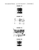 Nucleic acids and proteins from streptococcus groups a & b diagram and image