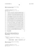 Nucleic acids and proteins from streptococcus groups a & b diagram and image