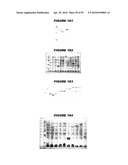 Nucleic acids and proteins from streptococcus groups a & b diagram and image