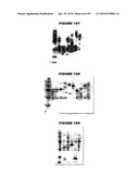 Nucleic acids and proteins from streptococcus groups a & b diagram and image