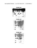 Nucleic acids and proteins from streptococcus groups a & b diagram and image