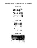 Nucleic acids and proteins from streptococcus groups a & b diagram and image