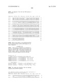 Nucleic acids and proteins from streptococcus groups a & b diagram and image