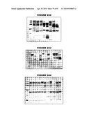 Nucleic acids and proteins from streptococcus groups a & b diagram and image