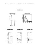 Nucleic acids and proteins from streptococcus groups a & b diagram and image