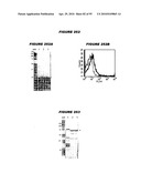 Nucleic acids and proteins from streptococcus groups a & b diagram and image