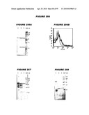 Nucleic acids and proteins from streptococcus groups a & b diagram and image