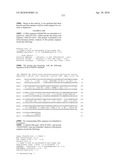 Nucleic acids and proteins from streptococcus groups a & b diagram and image