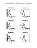 Nucleic acids and proteins from streptococcus groups a & b diagram and image