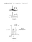 METHOD FOR DETECTING NEUROBLASTOMA diagram and image