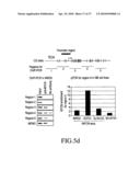 METHOD FOR DETECTING NEUROBLASTOMA diagram and image