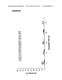 BISPECIFIC ANTIBODIES AND METHODS FOR PRODUCTION THEREOF diagram and image