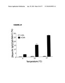 BISPECIFIC ANTIBODIES AND METHODS FOR PRODUCTION THEREOF diagram and image