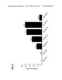 Hybrid Hepatocyte Growth Factor Gene Having High Expression Efficiency of Two Heterotypes of Hepatocyte Growth Factor diagram and image