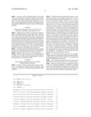 Hybrid Hepatocyte Growth Factor Gene Having High Expression Efficiency of Two Heterotypes of Hepatocyte Growth Factor diagram and image