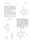 MODIFIED METAL COMPLEX AND USE THEREOF diagram and image