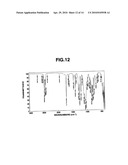 SILYL (METH)ACRYLATE COMPOUND CONTAINING A SILOXY GROUP HAVING A BULKY SUBSTITUENT AND ITS PRODUCTION METHOD diagram and image