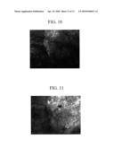 FLUORESCENCE OBSERVATION DEVICE FOR ORGANISM TISSUE diagram and image