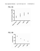 BIONANOCOMPOSITE FOR TISSUE REGENERATION AND SOFT TISSUE REPAIR diagram and image