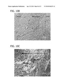 BIONANOCOMPOSITE FOR TISSUE REGENERATION AND SOFT TISSUE REPAIR diagram and image