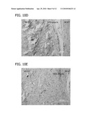 BIONANOCOMPOSITE FOR TISSUE REGENERATION AND SOFT TISSUE REPAIR diagram and image