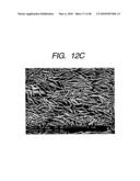 METHOD OF PRODUCING FUEL CELL CATALYST LAYER diagram and image